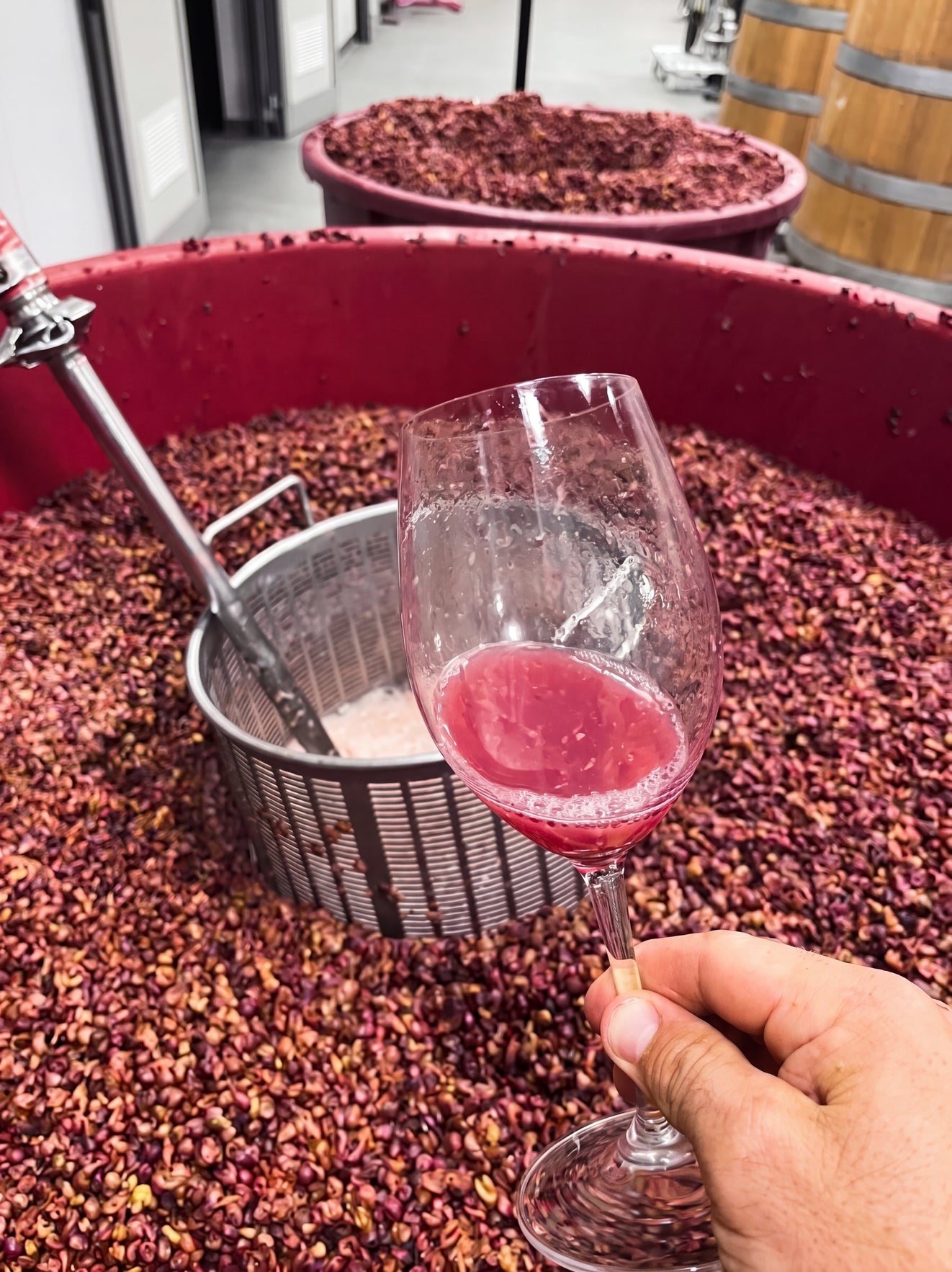 Our Winemakers