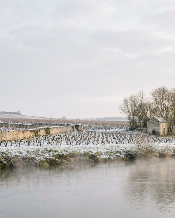 The Loire Edition