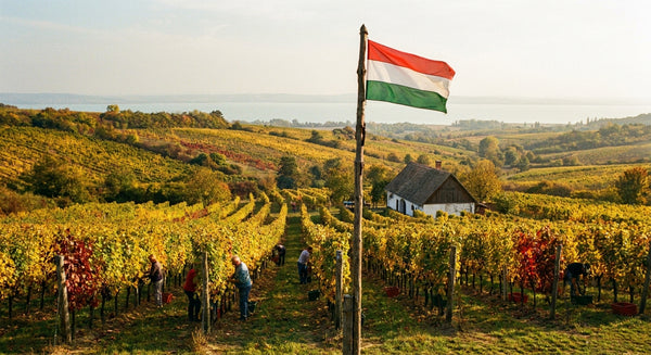 The Hungary Edition