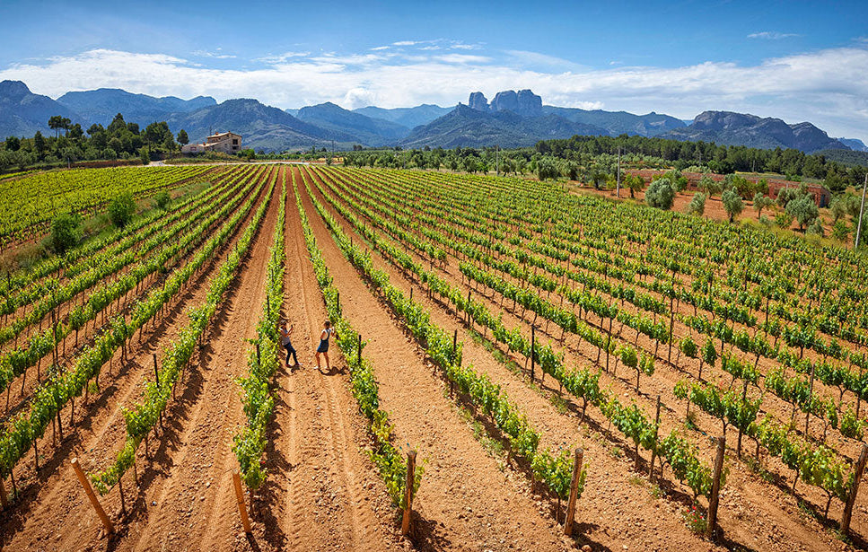 Our Winemakers